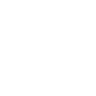 bidet
